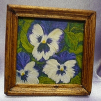 Pansies